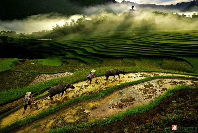 Bắc[-]Bộ[-]ngày[-]oi[-]nóng[-]và[-]mưa[-]rải[-]rác,[-]chiều[-]tối[-]nguy[-]cơ[-]có[-]gió[-]giật[-]mạnh-Ảnh[-]minh[-]họa:[-]TL